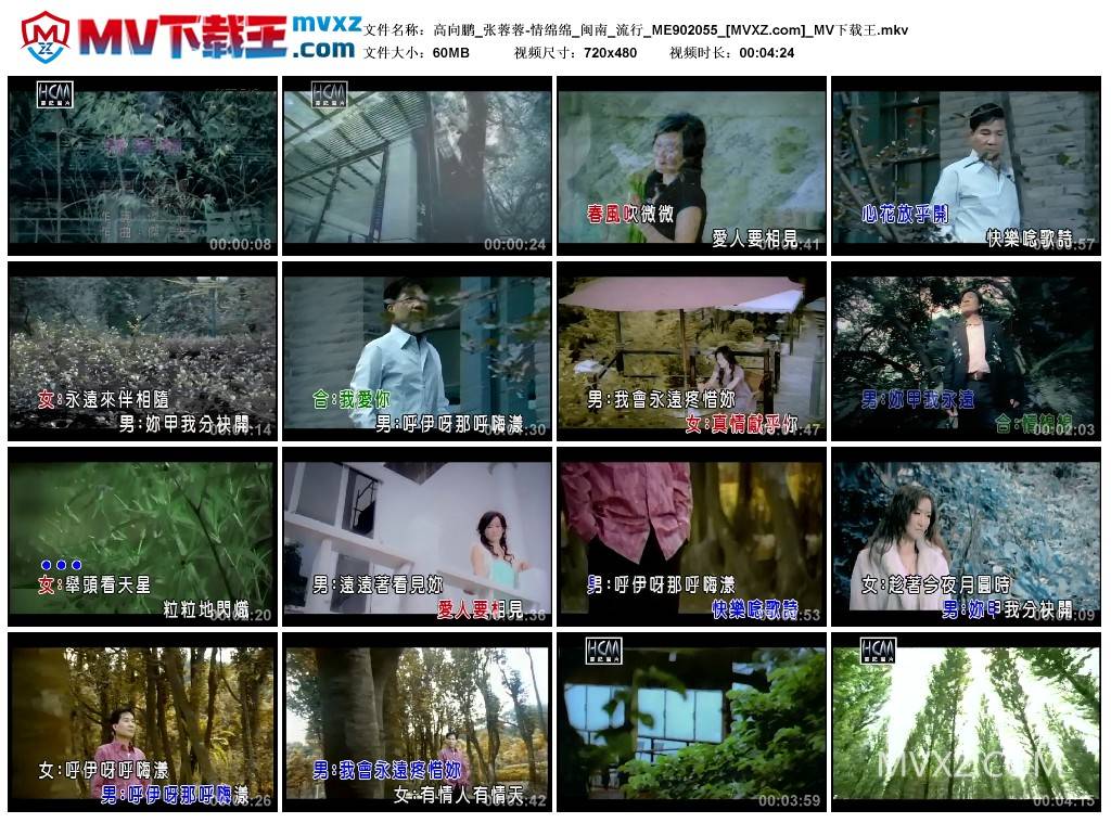 高向鹏_张蓉蓉-情绵绵_闽南_流行_ME902055